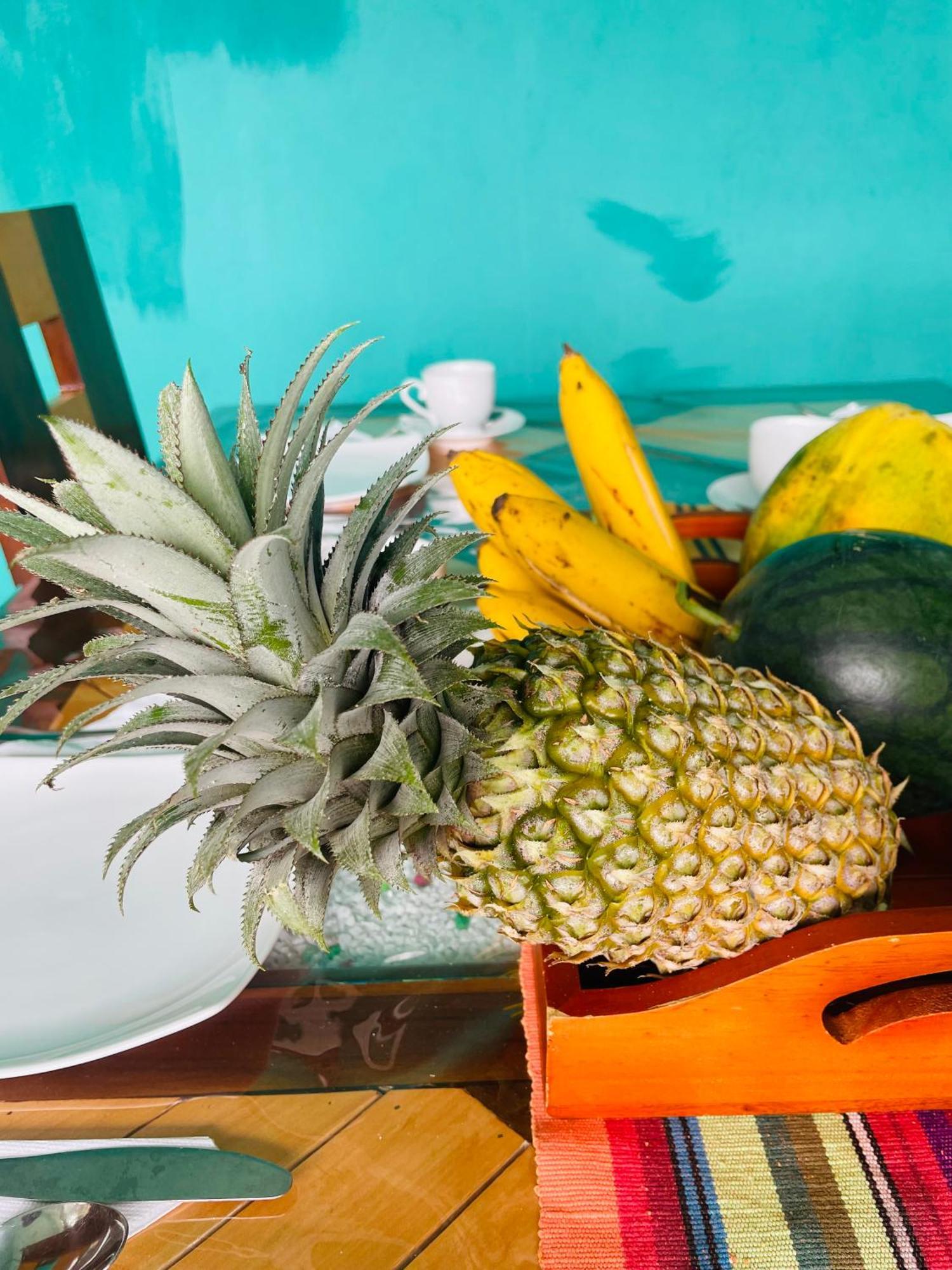 Little Paradise Homestay Ела Екстериор снимка