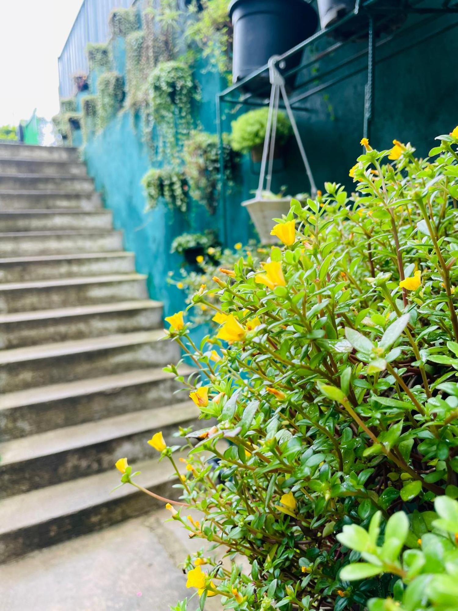 Little Paradise Homestay Ела Екстериор снимка