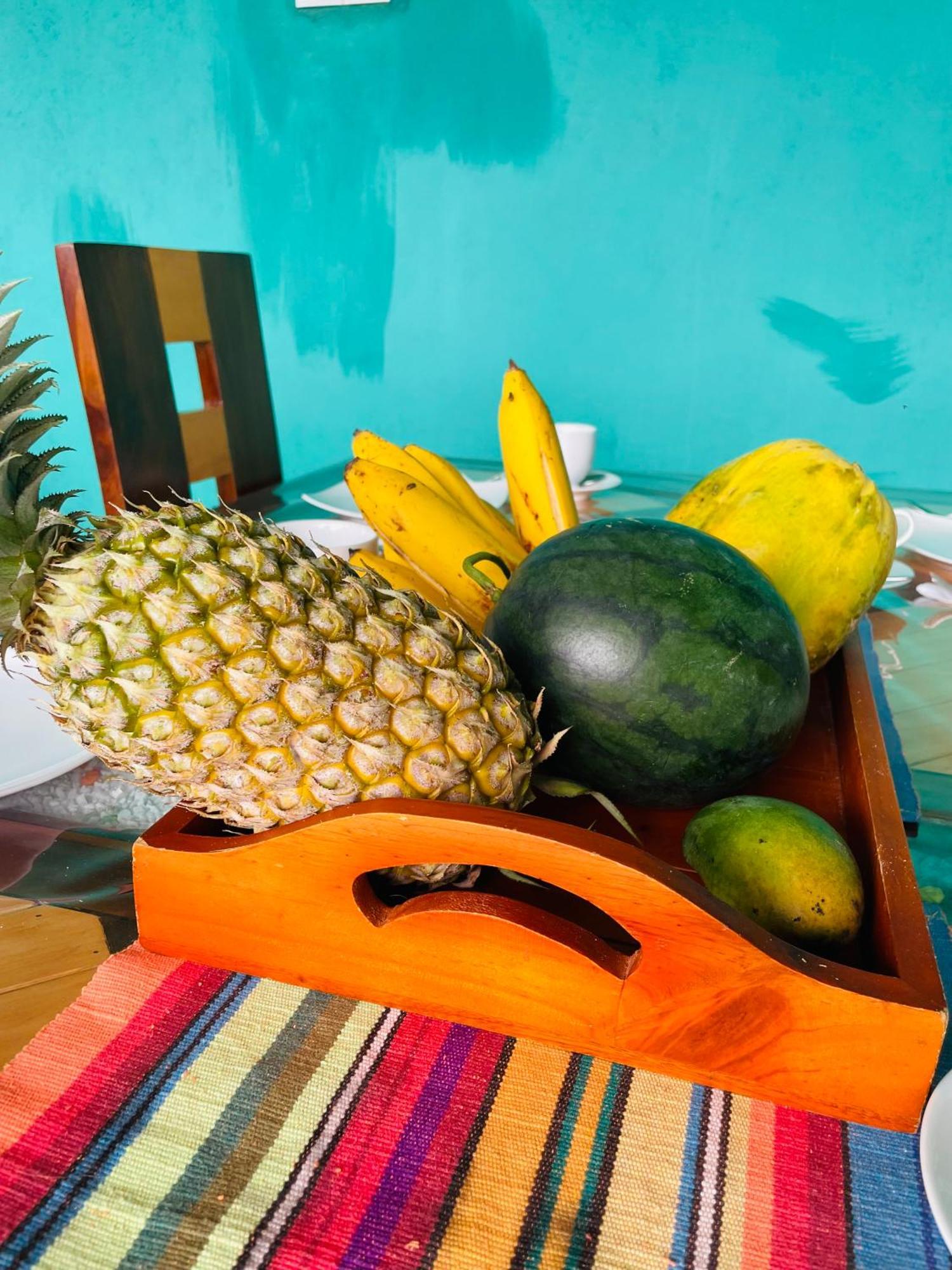 Little Paradise Homestay Ела Екстериор снимка